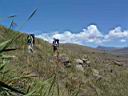 Drakensberg40.jpg