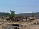Zimbabwe11.jpg